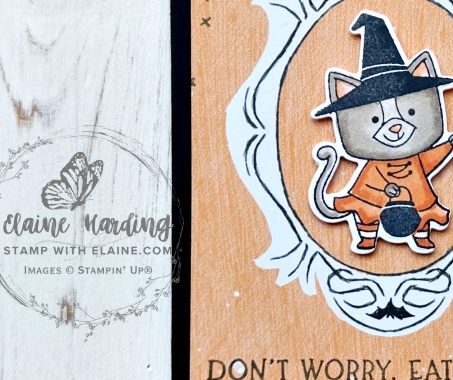 snk pk oval frame stamped cat halloween card