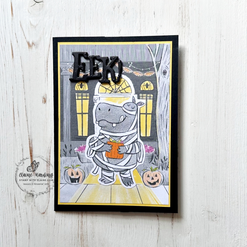 Basic Black rhino halloween card with Spooky Sweet and Fright Night