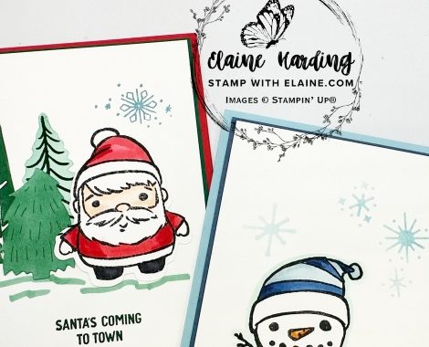 snk pk Festive Friends Santa_snowman