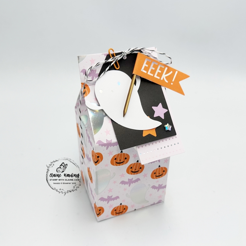 Pumpkin design box with EEK tag