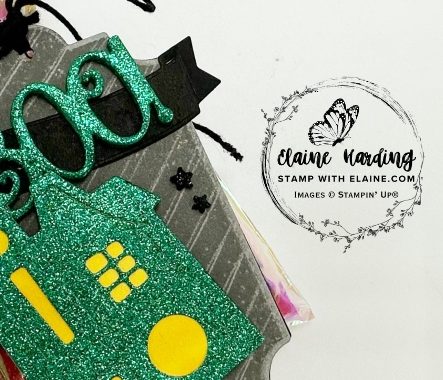 snk pk spooky H_ween treat bag