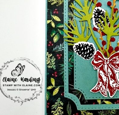 snk pk Branching out C_mas