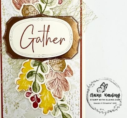 snk pk long slim gathering moments