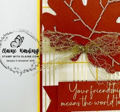 snk pk crushed curry gathering moments