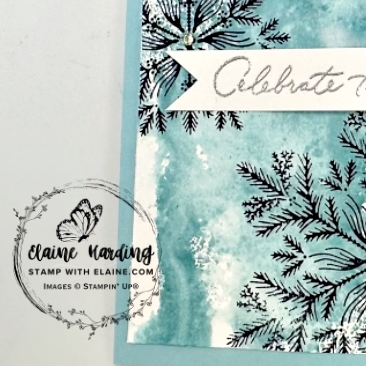 snk pk smush tecnique Delicate Pines