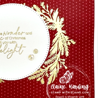 snk pk joyful tidings front