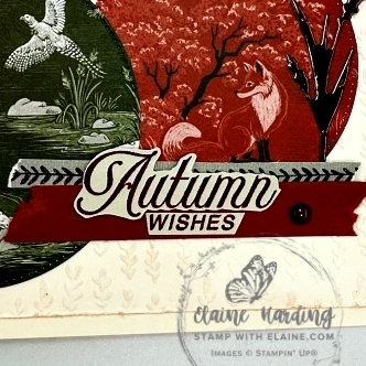 snk pk Amber Autumn landscape circles