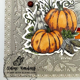 snk pk Amber Autumn landscape card 2 pumpkins