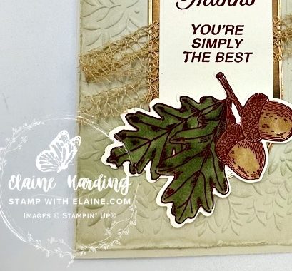 snk pk embossed fall card peaceful greenery embossing folder