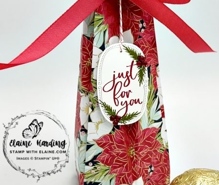 snk pk pinched star bag Traditions of Christmas