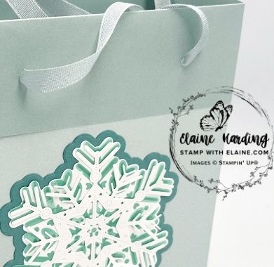 snk pk front gift bag snowy delights