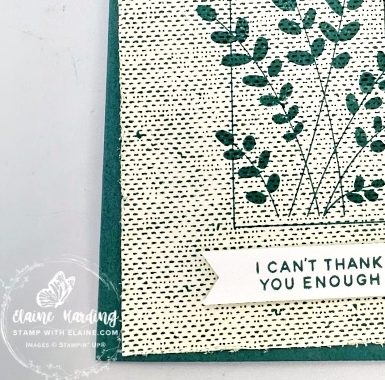 snk pk friendly foliage tk you card