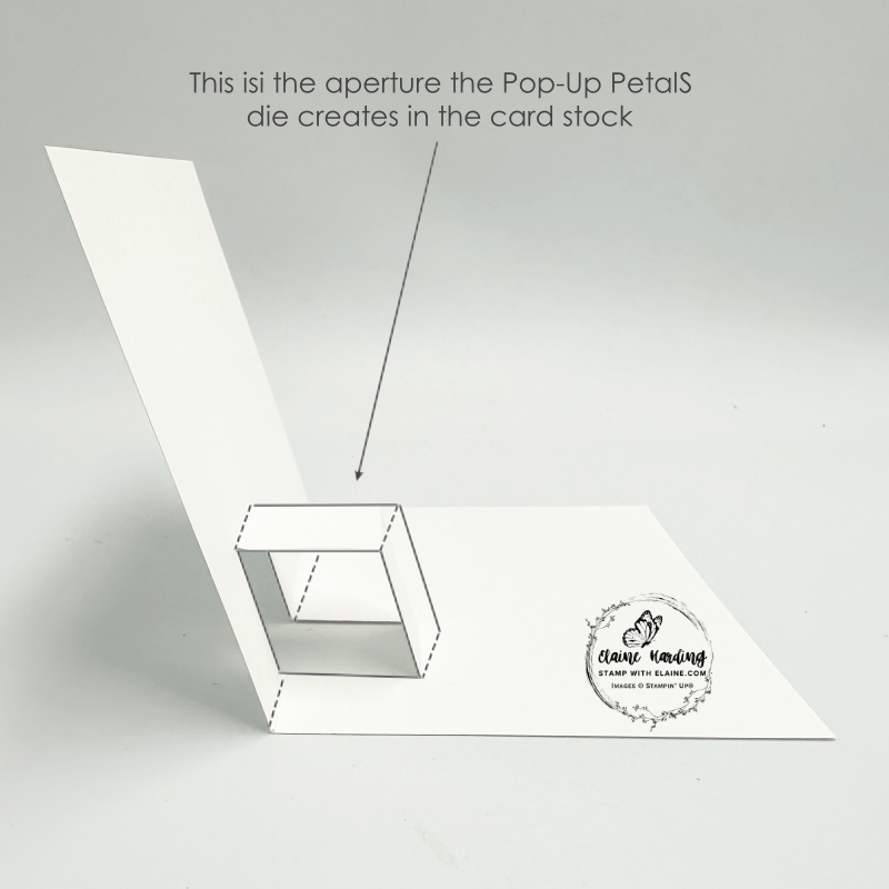 what pop-up should look like when open