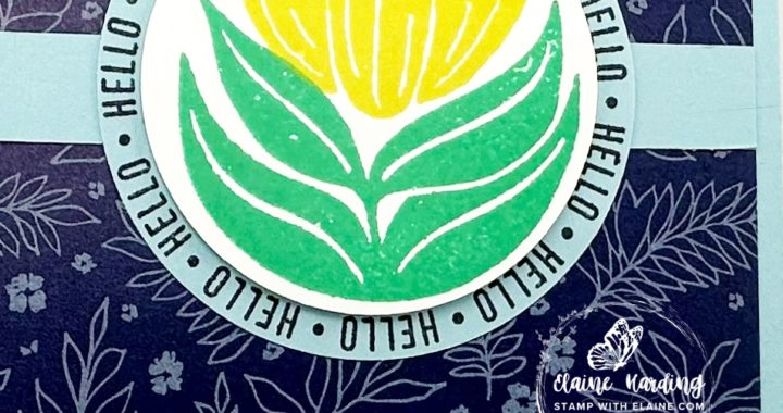 snk pk a round of hellos