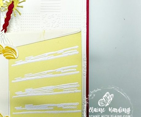 snk pk Cake day bday