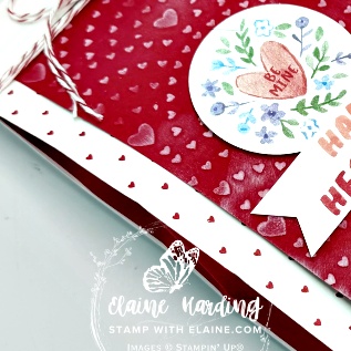 snk pk hearts gusseted treat bag