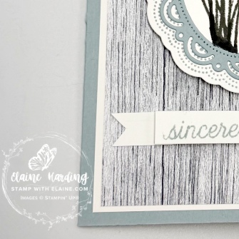 snk pk Scalloped wishes tk you card