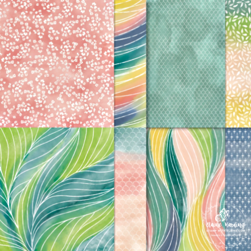 feb product of the month