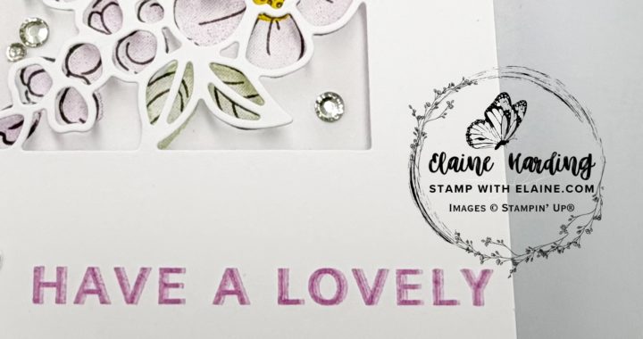 snk pk trifold front Fragrant Flowers