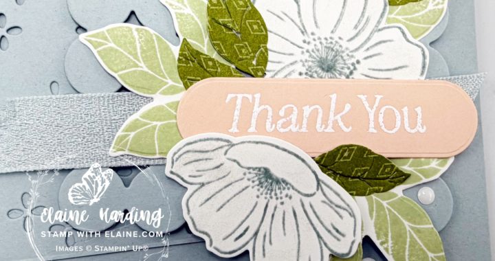 snk pk lovely blossoms front