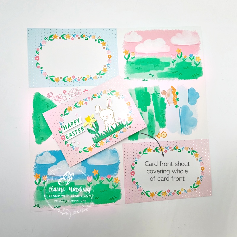 DSP card front selection