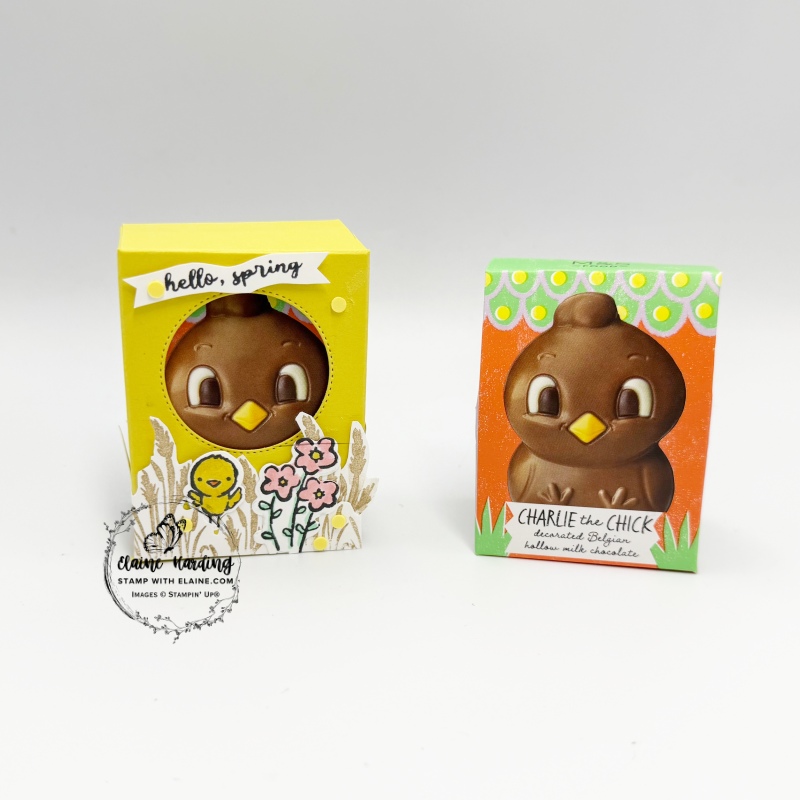 Darling Duckling easter treat box with Easter Basket bundle and Notes of Spring