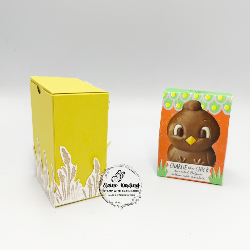 side and back view of Darling Duckling easter treat box