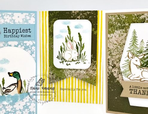 snk pk trio masking technique POM