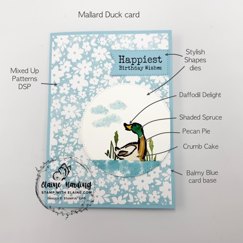 Balmy Blue Malard duck card