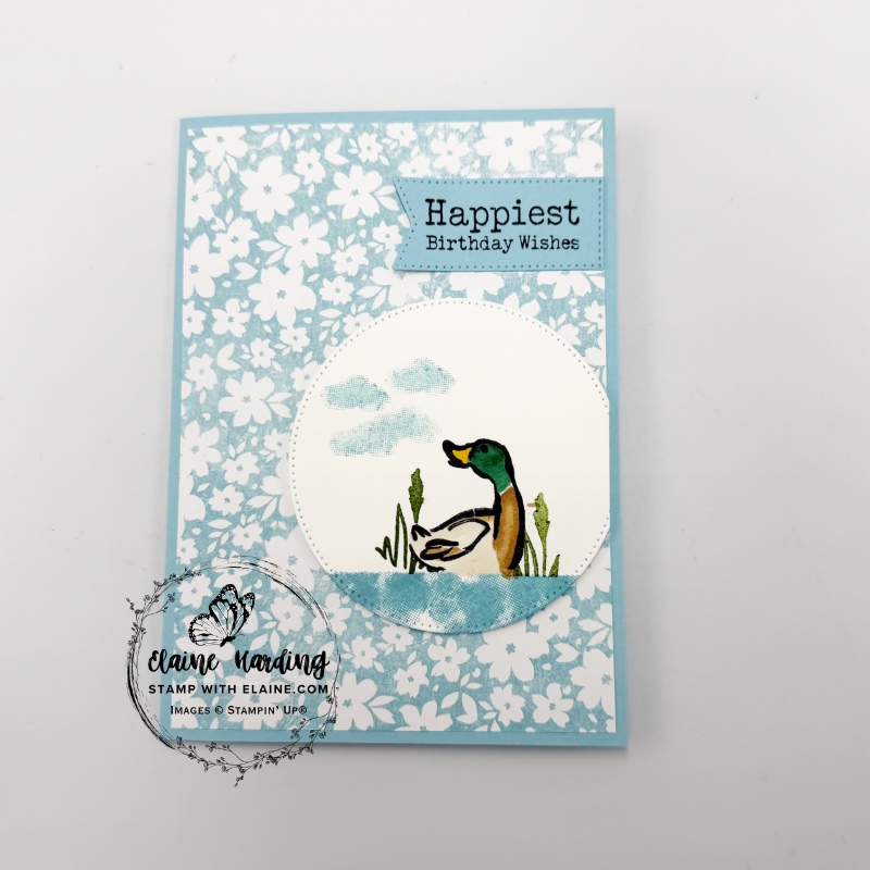 Masked Balmy Blue mallard duck card with Notes of Spring