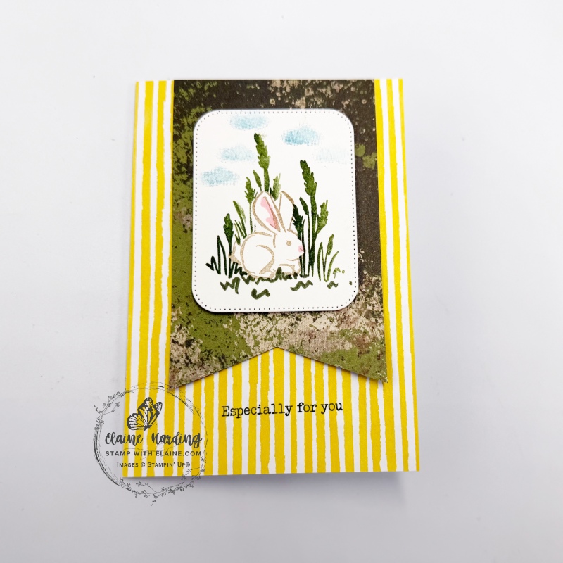 Masked bunny card with Notes of Spring