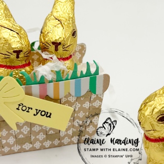 snk pk Assembled basket with grass