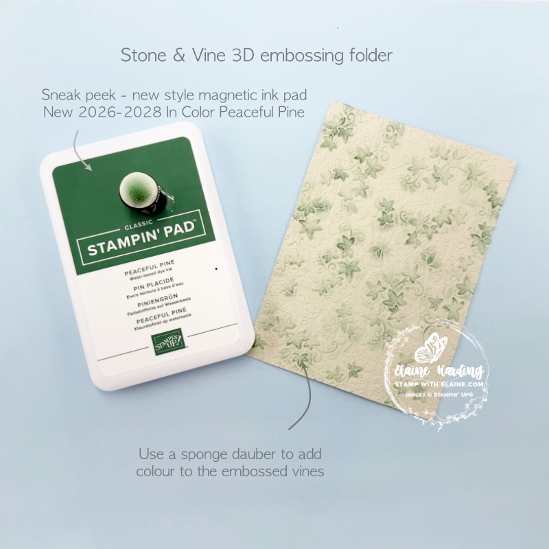 adding colour to embossed Stone & Vine 3D embossing folder