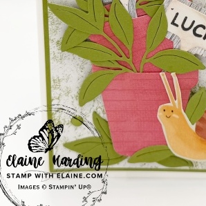 snk pk good luck help me grow