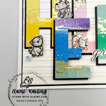 snk pk front grandson bday party alphabet