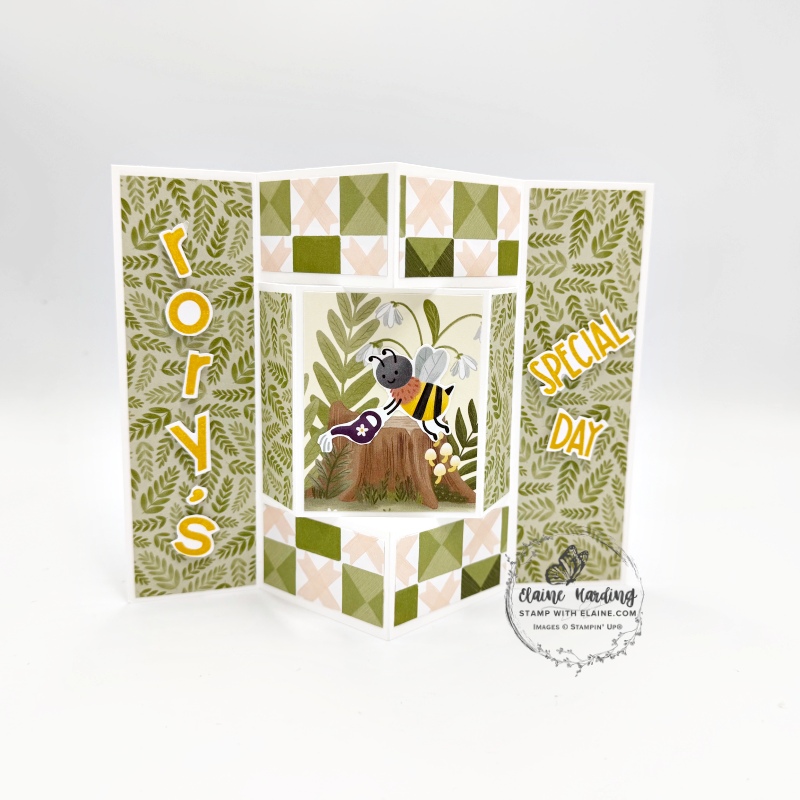 front inverted bay window sweet bugs fun fold card