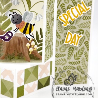 snk pk sweet bugs inverted bay window