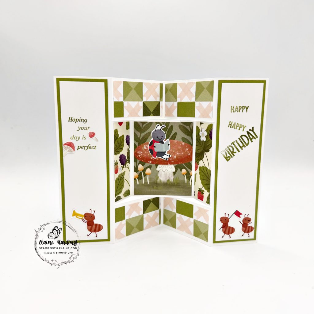 back of inverted bay window card sweet bugs