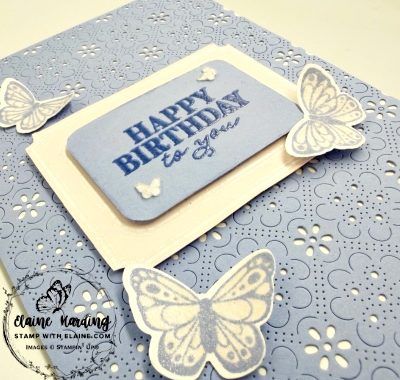 snk pk close up eyelet blooms POM