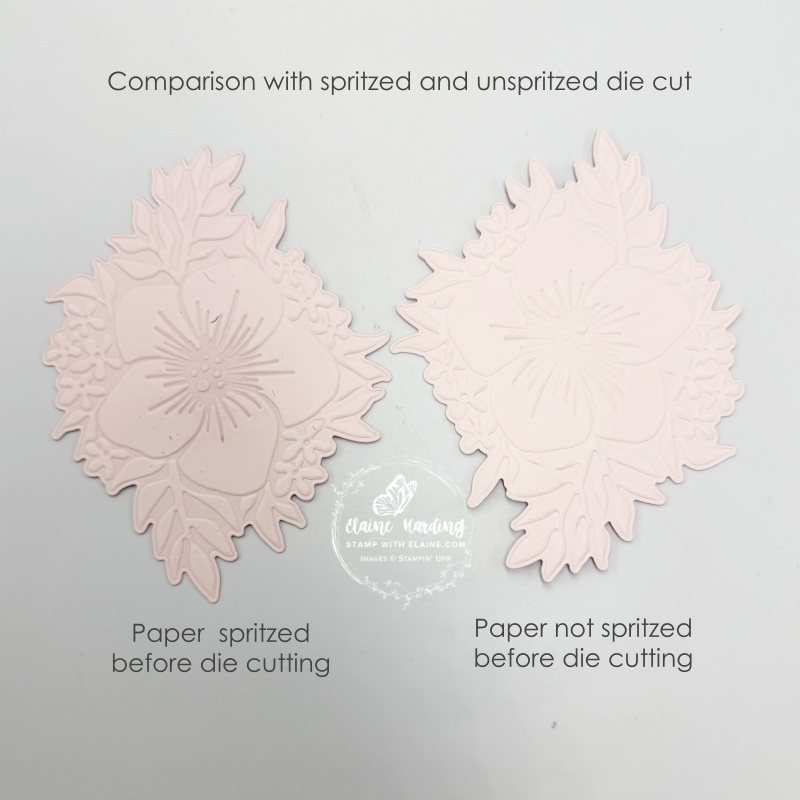 comparison between spritzed card stock and one that has not
