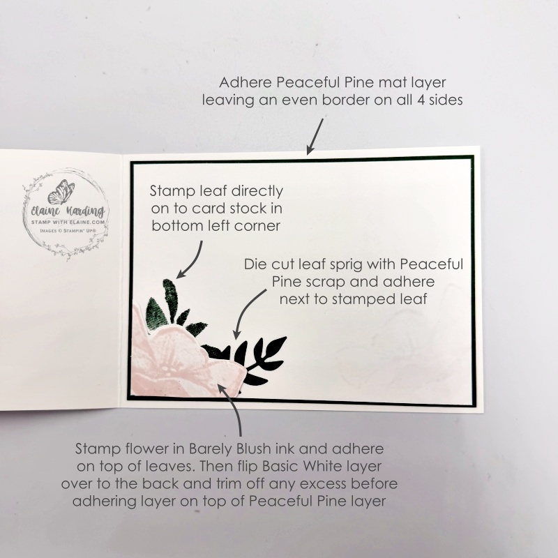 picture instructions for inside of card