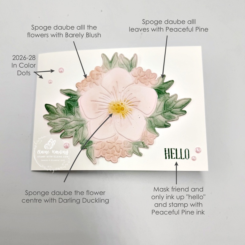 picture instructions for front of card
