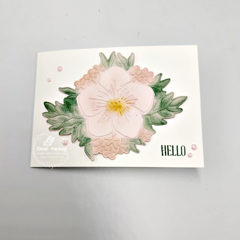 Impressions Opulent Oasis hello card