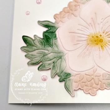 IMG_2905 snk pk Opulent Oasis Hello card