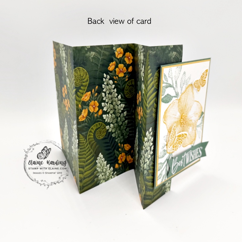 back view of trifold card with Opulent Oasis and Moonlit Flora SDSP