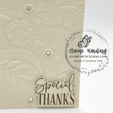 IMG_2946 snk pk Floral Vine 3D embossing folder