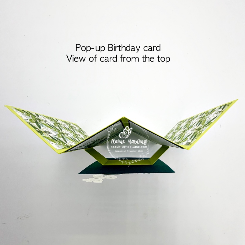 view from top of accordion pop-up card with Lily of Valley bundle