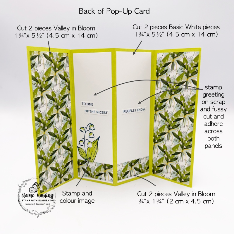 picture instructions for back of card