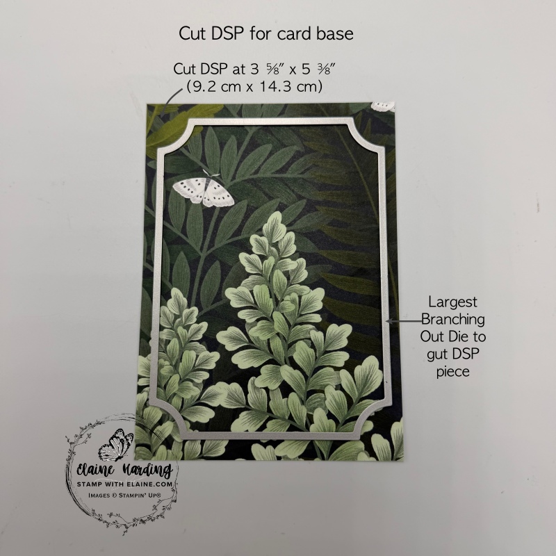 largest branching out die cut dsp