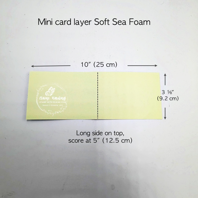 mini card soft sea foam card base